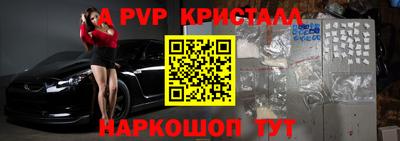 стаф Шелехов