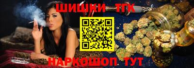 стаф Шелехов