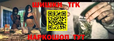 стаф Шелехов