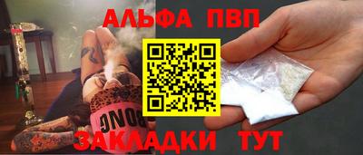 стаф Шелехов