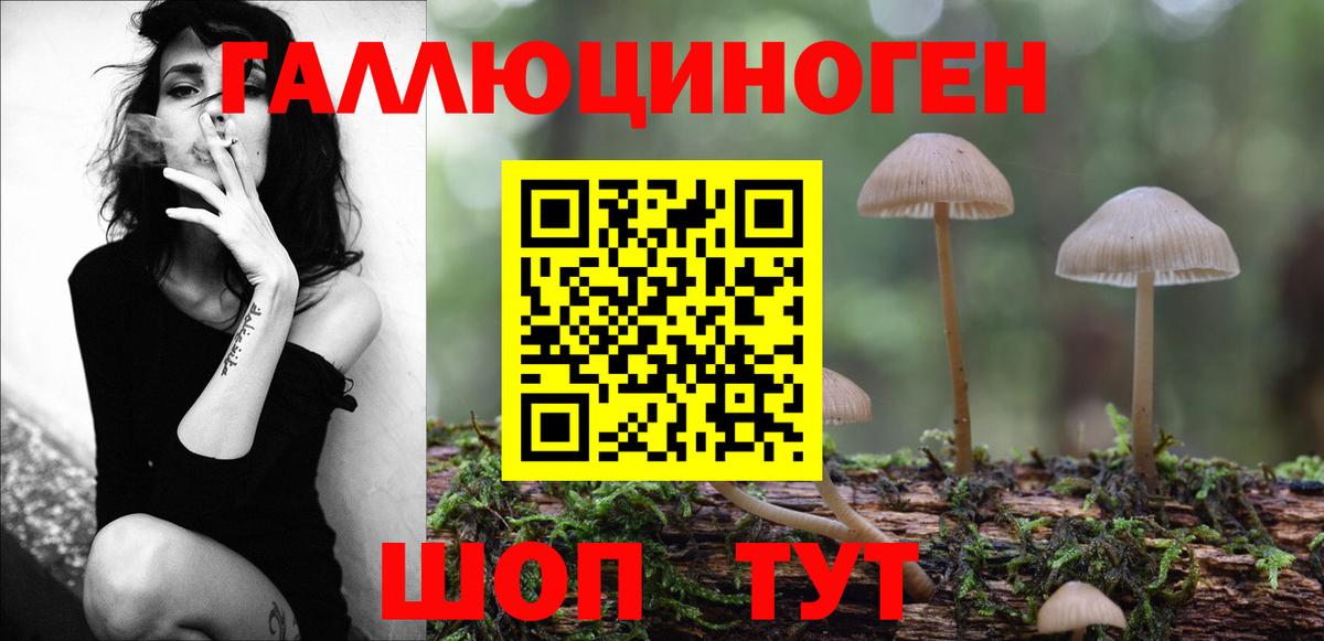 Псилоцибиновые грибы прущие грибы Белореченск